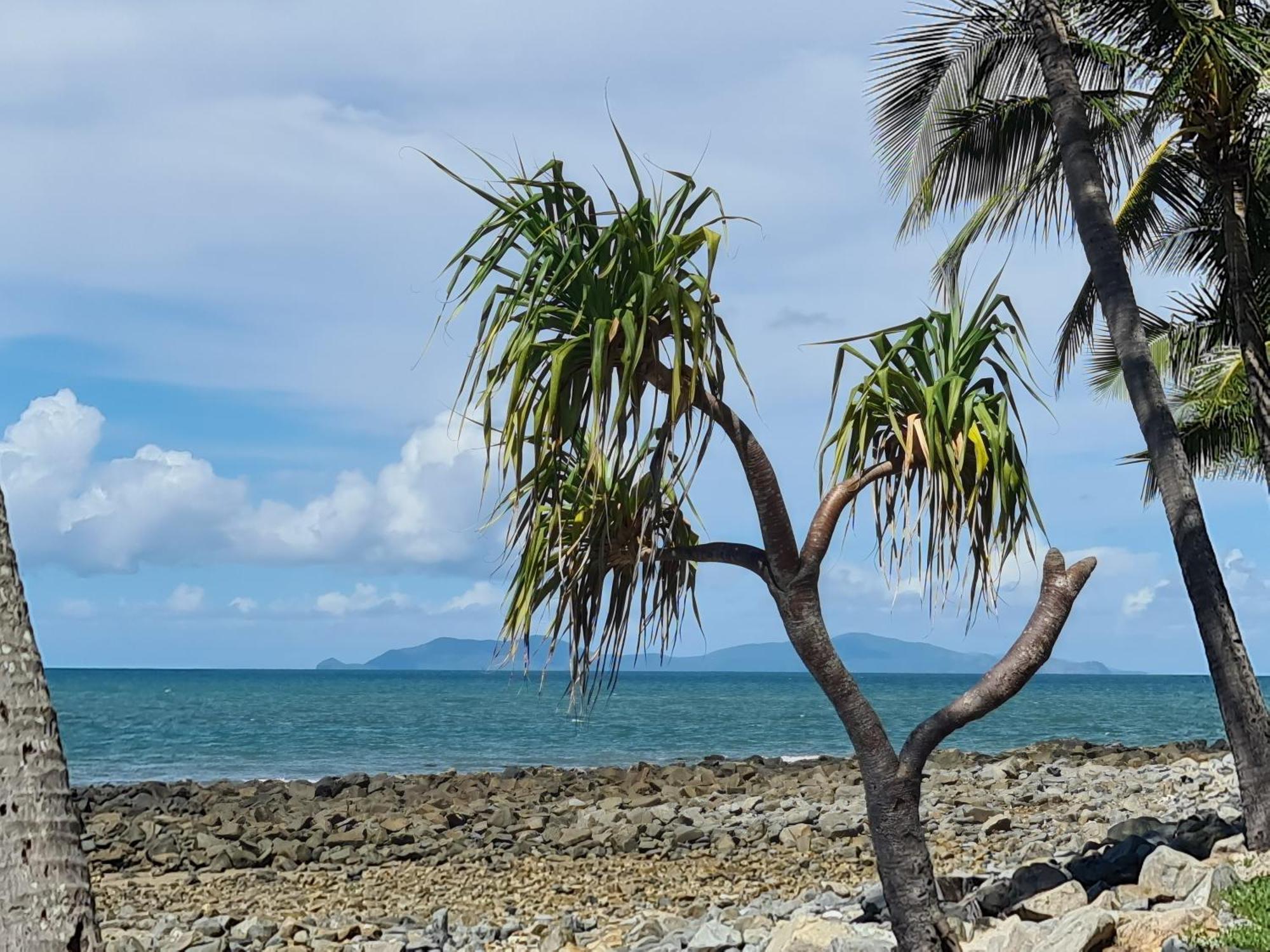 Dolphin Heads - Resort Unit - Absolute Beachfront! - Whitsunday Getaway! แมคคาย ภายนอก รูปภาพ